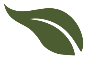 leaf icon