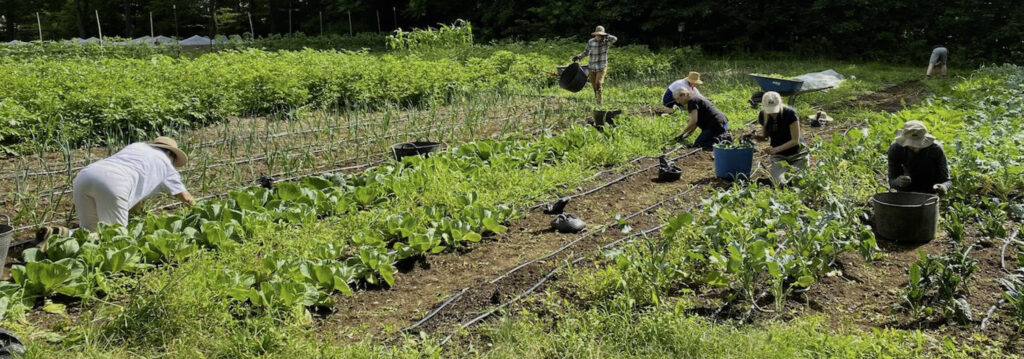 Volunteers working in Stonewood Farm